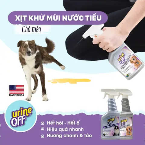 Khử Mùi Khai Nước Tiểu Chó Mèo Bằng Nước Khử Mùi Nước Tiểu Chó Mèo Chuyên Dụng