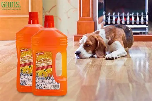 Næ°á»c Lau Sã N Nhã Khá»­ Mã¹i Chã³ Mã¨o Reinexâ