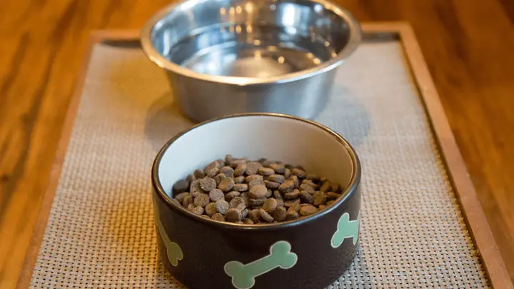 Bát Ăn Và Bình Nước