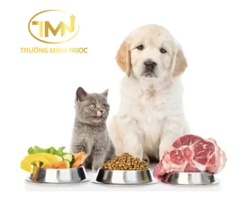 Cung Cấp Đầy Đủ Thức Ăn, Nước Uống Cho Chó, Mèo