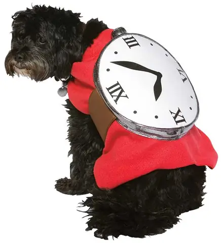 Co Nen Nuoi Cho Hay Khong 3