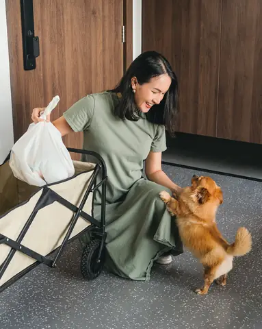 Nuôi Chó Có Ảnh Hưởng Đến Trẻ Sơ Sinh Không