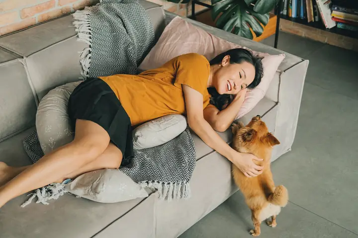 Nuôi Chó Có Ảnh Hưởng Đến Trẻ Sơ Sinh Không