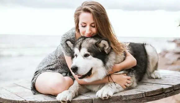 Dù Chó Là Động Vật Giữ Nhà, Khá Đáng Yêu Nhưng Không Phải Ai Cũng Thích Hợp Để Nuôi.