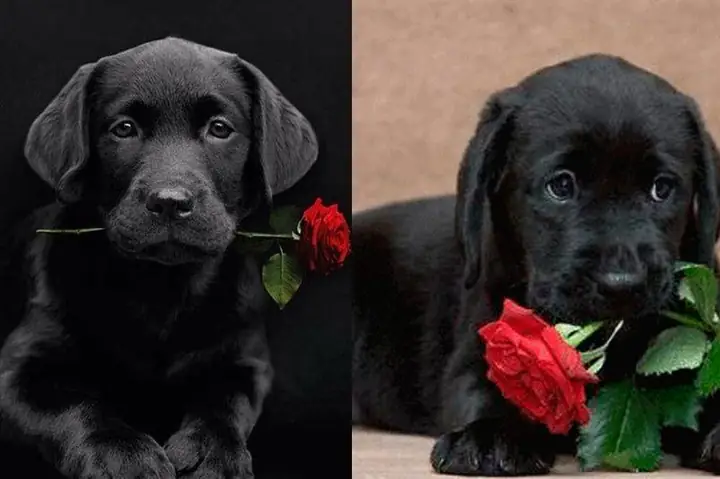 Cải Thiện Sức Khỏe Tinh Thần Cải Thiện Sức Khỏe Tinh Thần