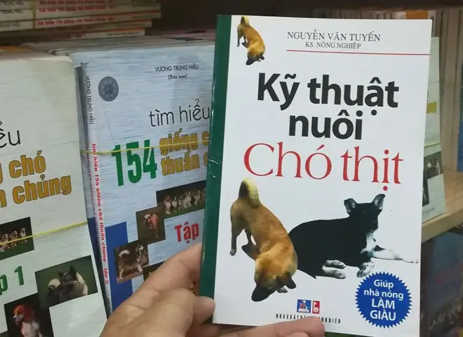 Nuôi Chó Làm Kinh Tế: Hướng Dẫn Chi Tiết Từ A-z Cho Người Mới Bắt Đầu