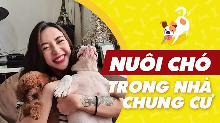 Cách Nuôi Chó Trong Phòng Trọ Cách Nuôi Chó Trong Phòng Trọ
