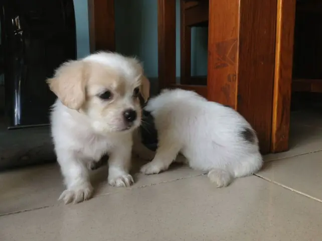 Chọn Phòng Trọ, Chung Cư Có Không Gian Thoáng Khí Và Nhà Vệ Sinh Riêng Chọn Phòng Trọ, Chung Cư Có Không Gian Thoáng Khí Và Nhà Vệ Sinh Riêng