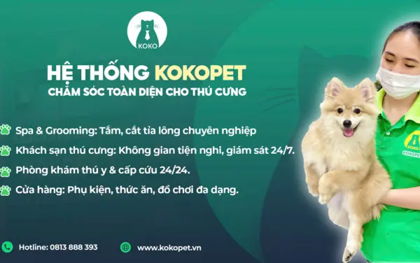 Kokopet–thương Hiệu Chăm Sóc Chó Mèo Uy Tín Và Chất Lượng