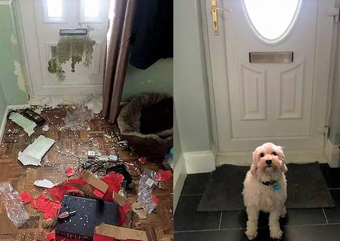 Không Nên Để Các Đồ Dùng Dễ Vỡ, Các Dụng Cụ Sắc Nhọn Nhiều Trong Phòng