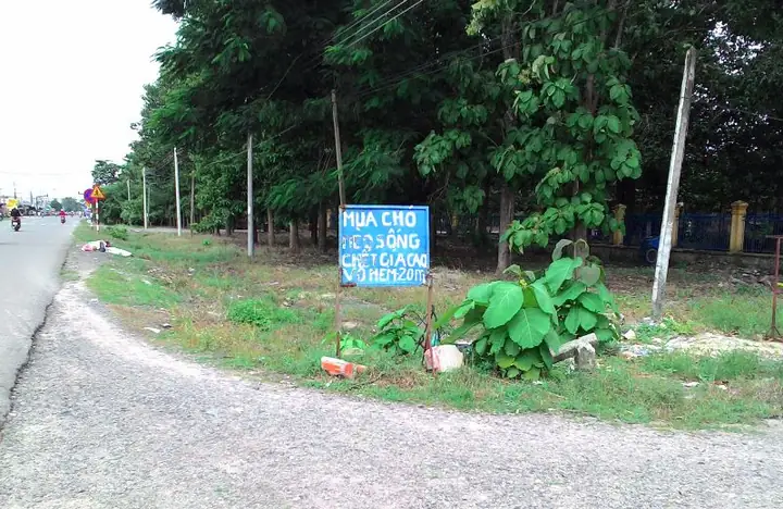 Ở Tây Ninh Co Bán Chó Con