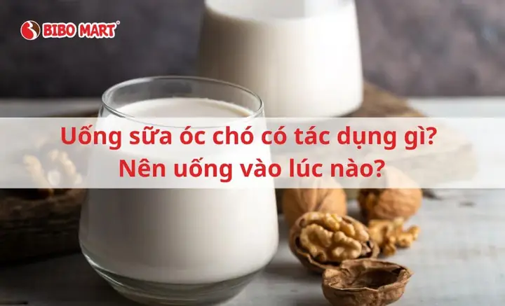 Uống Sữa Óc Chó Có Tác Dụng Gì
