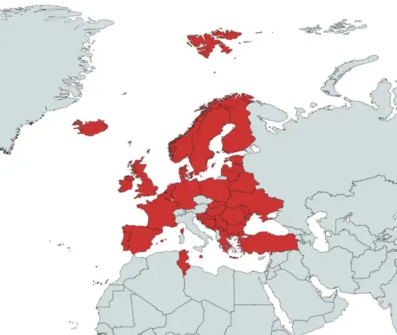 R/pawpatrol - Điều Này Còn Lại Sau Chỉ 3 Tháng (tôi Cũng Làm Điều Này Với Mapchart Xd)