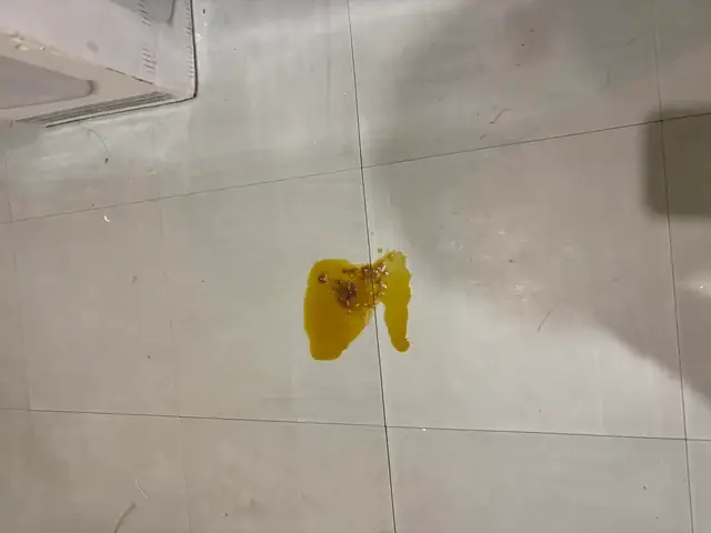 Phân Chó Có Dịch Nhầy: Nguyên Nhân, Cách Điều Trị Và Phòng Ngừa