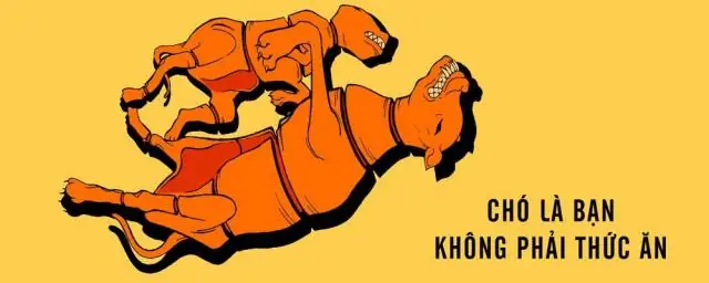 Phản Đối Ăn Thịt Chó