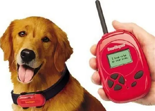 Mã¡y Phiãªn Dá»ch Tiếng Chã³ | Nã³i Chuyá»n Cã¹ng Th㺠Cæ°ng Lã Chuyá»n Nhá»! Mã¡y Phiãªn Dá»ch Tiếng Chã³ | Nã³i Chuyá»n Cã¹ng Th㺠Cæ°ng Lã Chuyá»n Nhá»!