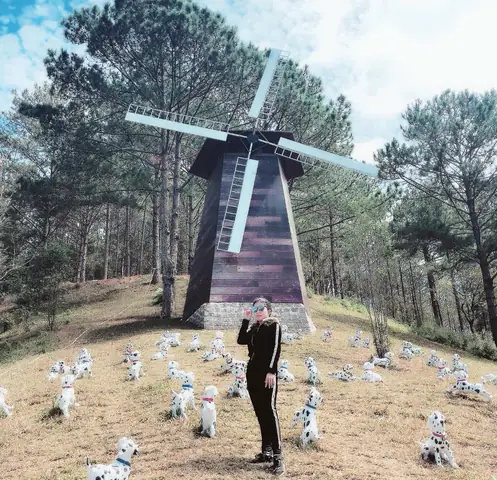 Phim 1001 Con Chó Đốm