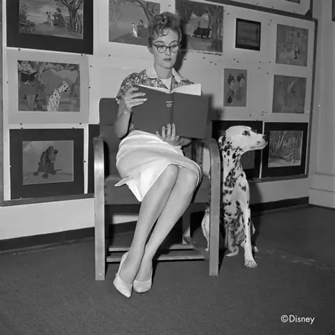 Phim 101 Chú Chó Đốm 1961: Hành Trình Giải Cứu Đầy Cảm Xúc Và Giá Trị Bảo Tồn Động Vật