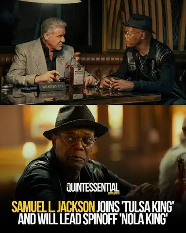 Phim Chó Điên Tập 2: Nội Dung, Ý Nghĩa Và Câu Chuyện Đằng Sau Những Chú Chó Hoang