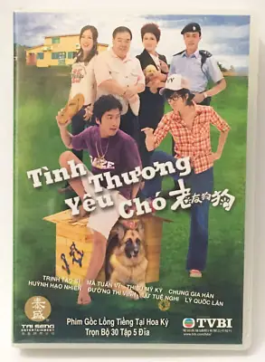 Phim Chó Điên Tập 2: Nội Dung, Ý Nghĩa Và Câu Chuyện Đằng Sau Những Chú Chó Hoang