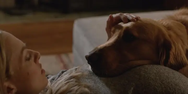 Review – Cuộc Đời Phi Thường Của Chú Chó Enzo Review – Cuộc Đời Phi Thường Của Chú Chó Enzo