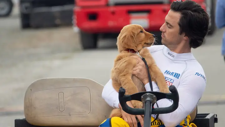 Mỹ Nhân "mamma Mia!" Amanda Seyfried Gây Thương Nhớ Trong Bộ Phim Cảm Động "cuộc Đời Phi Thường Của Chú Chó Enzo" Mỹ Nhân "mamma Mia!" Amanda Seyfried Gây Thương Nhớ Trong Bộ Phim Cảm Động "cuộc Đời Phi Thường Của Chú Chó Enzo"