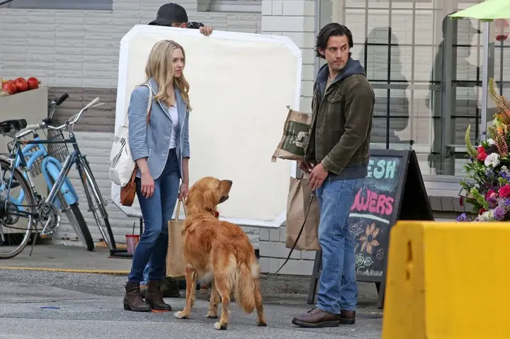 Mỹ Nhân "mamma Mia!" Amanda Seyfried Gây Thương Nhớ Trong Bộ Phim Cảm Động "cuộc Đời Phi Thường Của Chú Chó Enzo" Mỹ Nhân "mamma Mia!" Amanda Seyfried Gây Thương Nhớ Trong Bộ Phim Cảm Động "cuộc Đời Phi Thường Của Chú Chó Enzo"