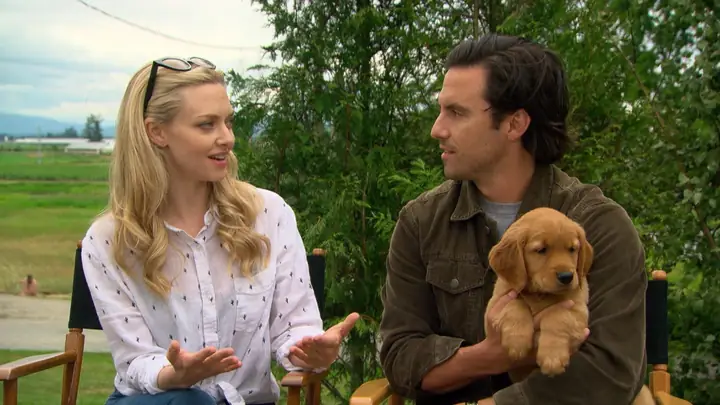 Mỹ Nhân "mamma Mia!" Amanda Seyfried Gây Thương Nhớ Trong Bộ Phim Cảm Động "cuộc Đời Phi Thường Của Chú Chó Enzo" Mỹ Nhân "mamma Mia!" Amanda Seyfried Gây Thương Nhớ Trong Bộ Phim Cảm Động "cuộc Đời Phi Thường Của Chú Chó Enzo"