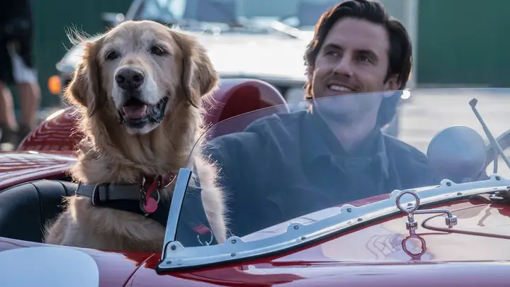 Mỹ Nhân "mamma Mia!" Amanda Seyfried Gây Thương Nhớ Trong Bộ Phim Cảm Động "cuộc Đời Phi Thường Của Chú Chó Enzo" Mỹ Nhân "mamma Mia!" Amanda Seyfried Gây Thương Nhớ Trong Bộ Phim Cảm Động "cuộc Đời Phi Thường Của Chú Chó Enzo"