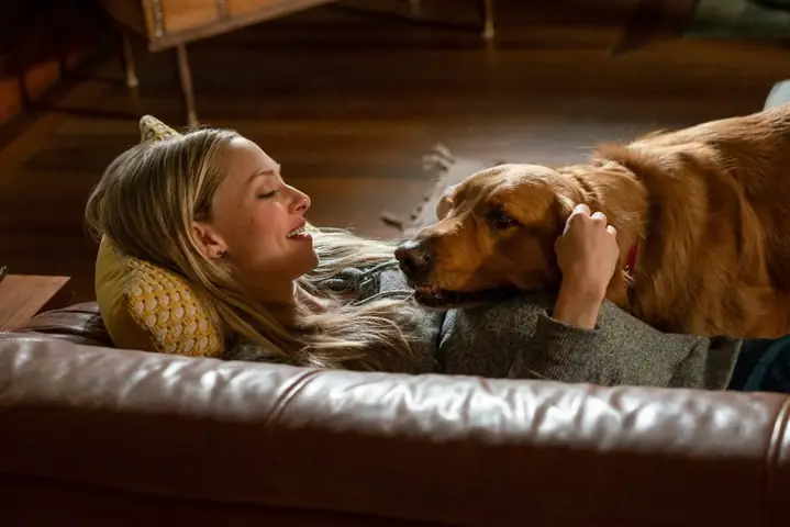 Mỹ Nhân "mamma Mia!" Amanda Seyfried Gây Thương Nhớ Trong Bộ Phim Cảm Động "cuộc Đời Phi Thường Của Chú Chó Enzo" Mỹ Nhân "mamma Mia!" Amanda Seyfried Gây Thương Nhớ Trong Bộ Phim Cảm Động "cuộc Đời Phi Thường Của Chú Chó Enzo"