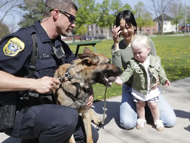 Phim Hay Về Chó Cảnh Sát