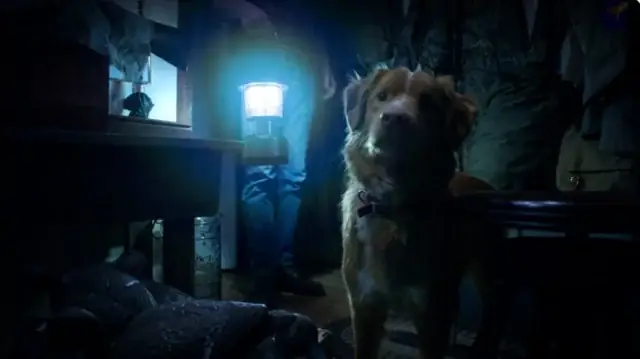 Phim Những Chú Chó Biết Nói: Khám Phá Thế Giới Động Vật Qua Góc Nhìn Điện Ảnh