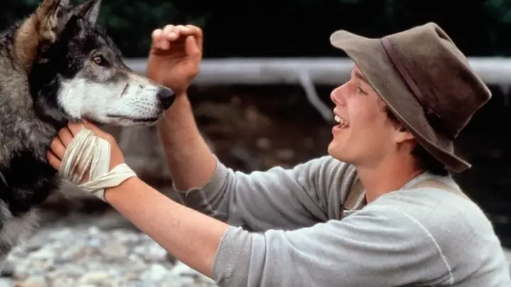 Năm Mậu Tuất Xem 6 Phim Về Những Chú Chó Đáng Yêu - Ảnh 8. Năm Mậu Tuất Xem 6 Phim Về Những Chú Chó Đáng Yêu - Ảnh 8.