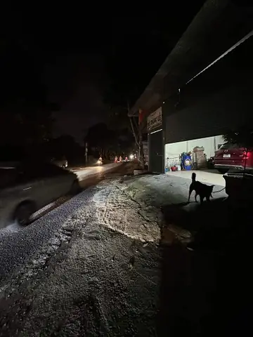 Phố Chó Nam Từ Liêm: Tìm Hiểu Về Khu Phố Chuyên Doanh Thú Cưng Ở Hà Nội Phố Chó Nam Từ Liêm: Tìm Hiểu Về Khu Phố Chuyên Doanh Thú Cưng Ở Hà Nội