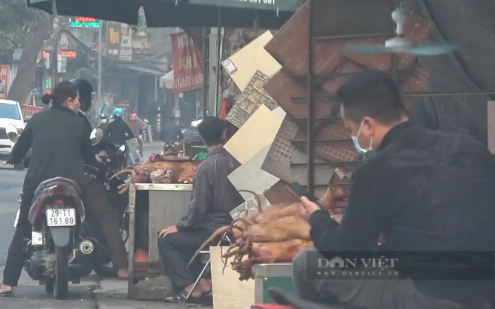 Phố Nổi Tiếng Kinh Doanh Thịt Chó, Mèo Tại Hà Nội, Mỗi Ngày Giết Mổ Cả Trăm Con Phố Nổi Tiếng Kinh Doanh Thịt Chó, Mèo Tại Hà Nội, Mỗi Ngày Giết Mổ Cả Trăm Con