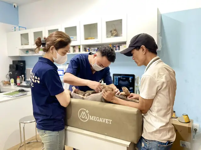 Thụ Tinh Nhân Tạo Qua Âm Đạo (vaginal Insemination - Regular Ai)