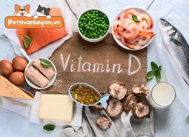 Vai Trò Của Vitamin D Đối Với Vật Nuôi Thú Cưng