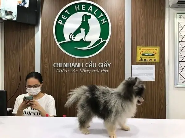 Thông Tin Chung Chi Nhánh Cầu Giấy