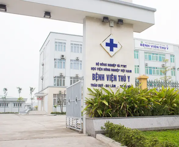Bệnh Viện Thú Y - Học Viện Nông Nghiệp Việt Nam - Gia Lâm