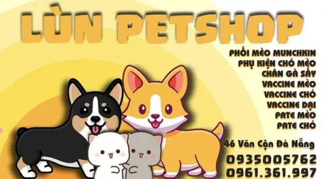 Phụ Kiện Chó Mèo Đà Nẵng: Hướng Dẫn Chọn Mua Và Nơi Uy Tín