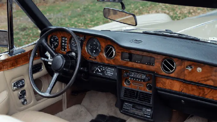 Quá Trình Phát Triển Của Chó