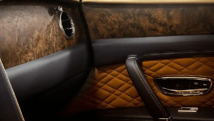 Quá Trình Phát Triển Của Chó