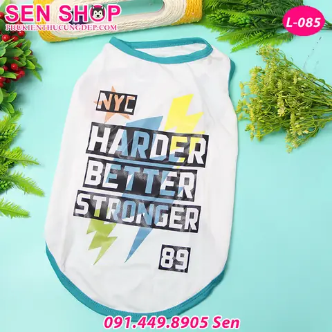 Xem Chi Tiết Hình Ảnh Quần Áo Cho Chó Husky