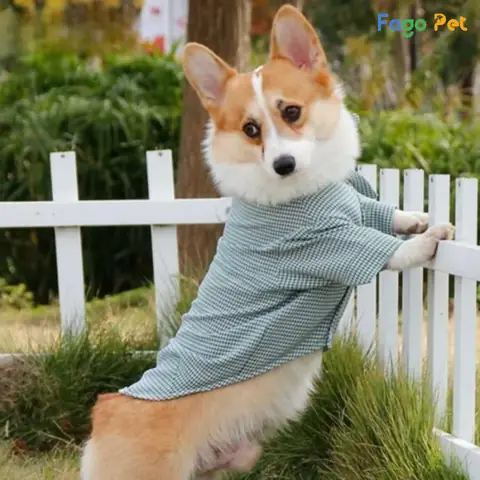 Áo Cho Chó Corgi Dạng Sơ Mi Kẻ Caro Áo Cho Chó Corgi Dạng Sơ Mi Kẻ Caro