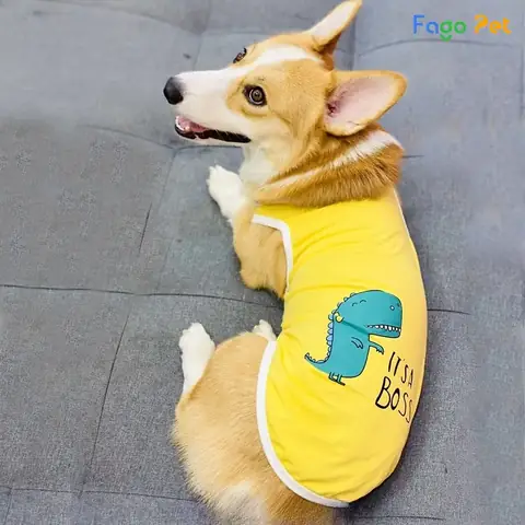 Áo Thun Đơn Giản Thoải Mái Dành Cho Corgi Áo Thun Đơn Giản Thoải Mái Dành Cho Corgi
