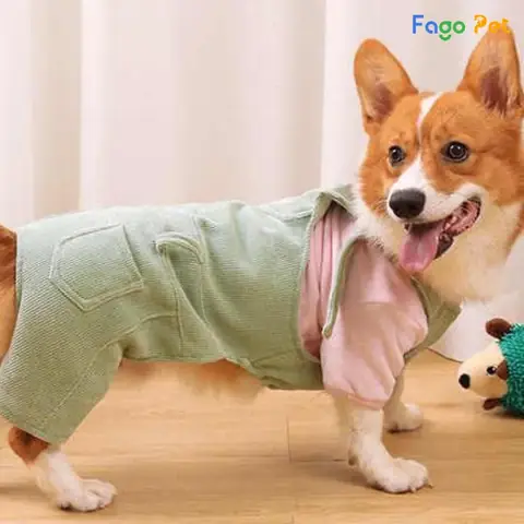 Bộ Quần Áo Yếm Ngộ Nghĩnh Cho Chó Corgi Bộ Quần Áo Yếm Ngộ Nghĩnh Cho Chó Corgi