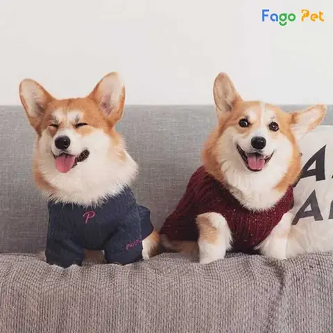 Địa Chỉ Mua Quần Áo Cho Chó Corgi Giá Rẻ, Chất Lượng Địa Chỉ Mua Quần Áo Cho Chó Corgi Giá Rẻ, Chất Lượng