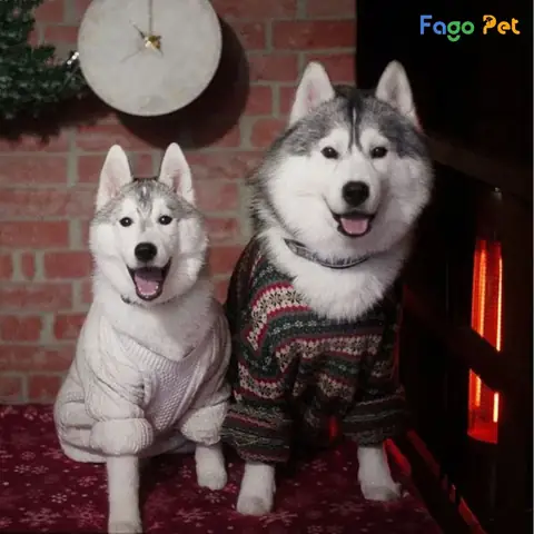 Quần Áo Cho Chó Husky Chất Liệu Bông Giữ Ấm