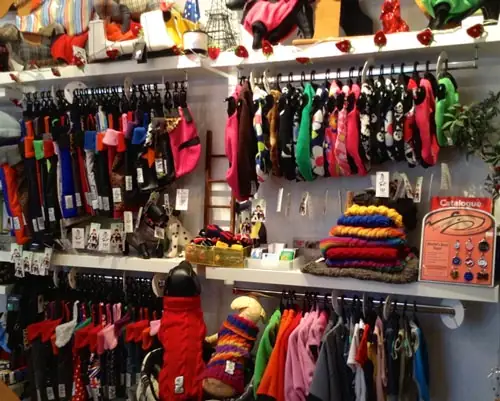 Bí Quyết Chọn Quần Áo Cho Chó Tp.hcm Đúng Chuẩn Và An Toàn