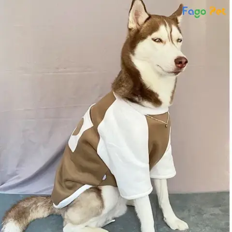 Nên Thử Trước Khi Mua Nên Thử Trước Khi Mua